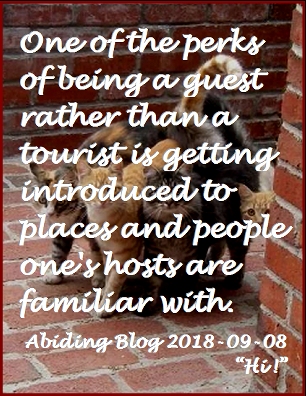 One of the perks of being a guest rather than a tourist is getting introduced to places and people one's hosts are familiar with. #BeingAGuest #Perks #AbidingBlog2018Hi